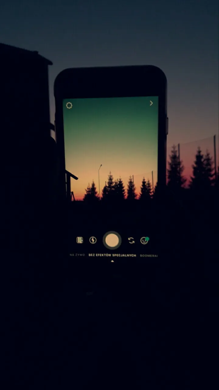 Zdjęcie 9