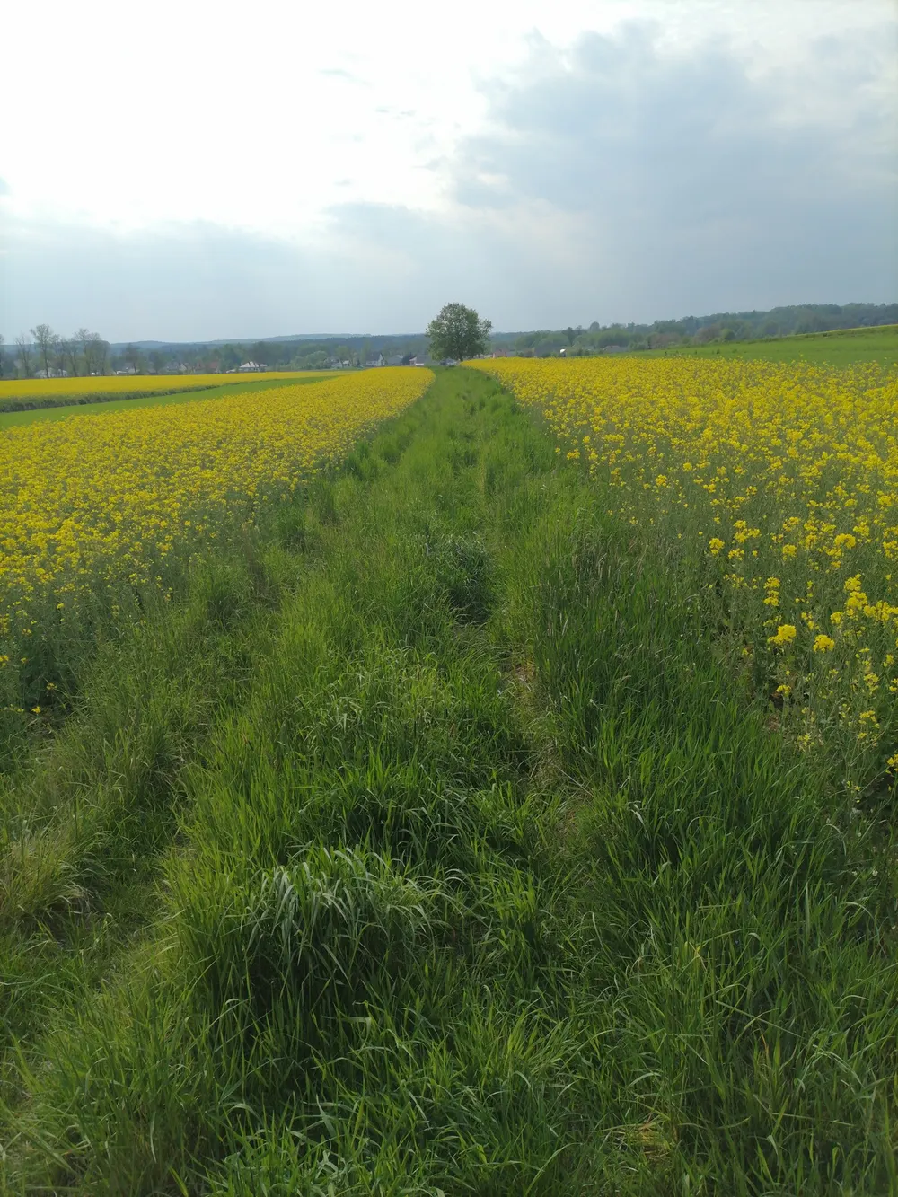 Zdjęcie 17