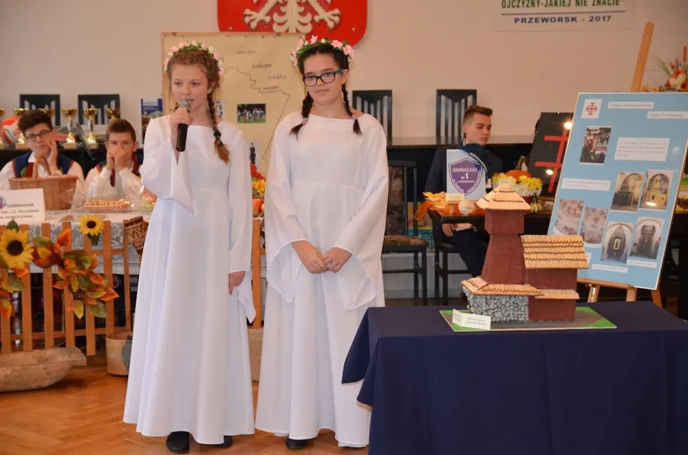Zdjęcie 17