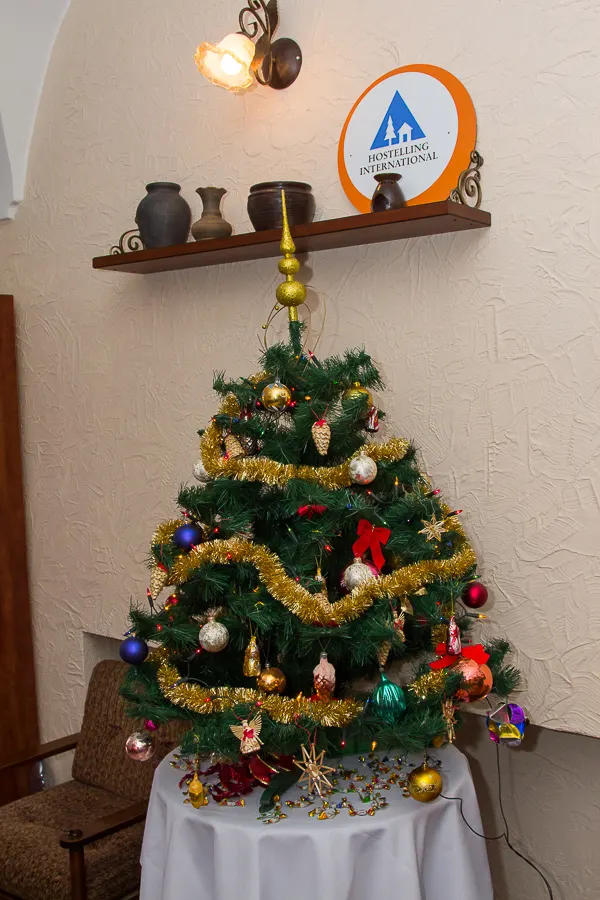 Zdjęcie 13