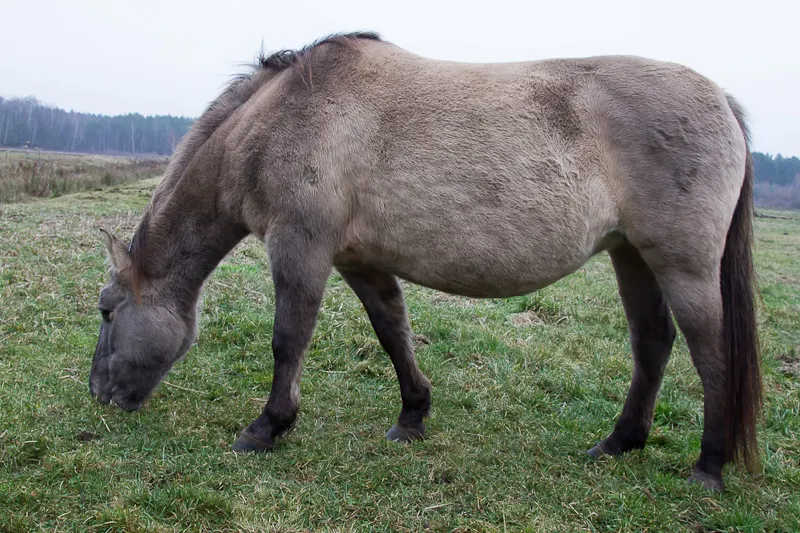 Zdjęcie 26