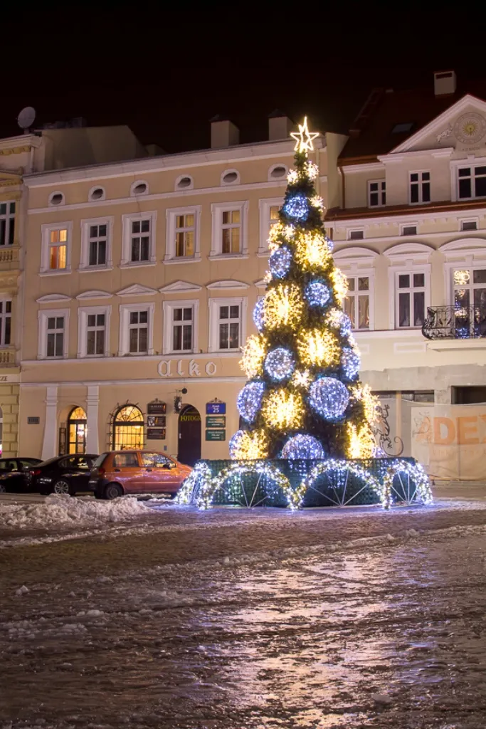 Zdjęcie 12